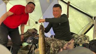 ЩУКИ ОДНА ЗА ОДНОЙ ИЗ  ОДНОЙ ЛУНКИ by Клёвая рыбалка / Hot fishing 72,307 views 3 days ago 27 minutes