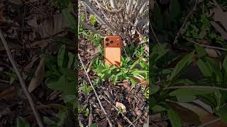 #iPhone #Motorola #Samsung #Nature #Photos #Subscribe #Today