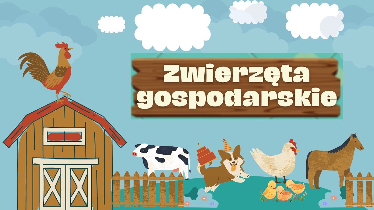 Zwierzeta Hodowlane Sprawdzian Dla Klasy 2 Zwierzęta hodowlane dla dzieci - YouTube