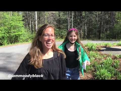 HENDERSONVILLE, NC- Wild Oak Independent School: Metaphor Lesson