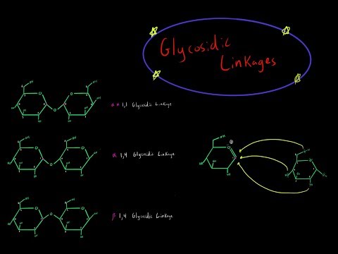 वीडियो: क्या मैनोस में ग्लाइकोसिडिक लिंकेज होता है?