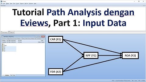 Tutorial Path Analysis dengan Eviews, Part 1: Input Data