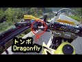 林道走行してたら、トンボがバイクに挟まっていた / Dragonfly Dying