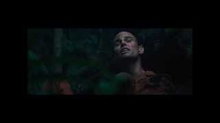 Predators Cocaine U0026 Bitches