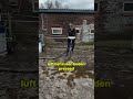 Sumpf in festen Boden verwandeln