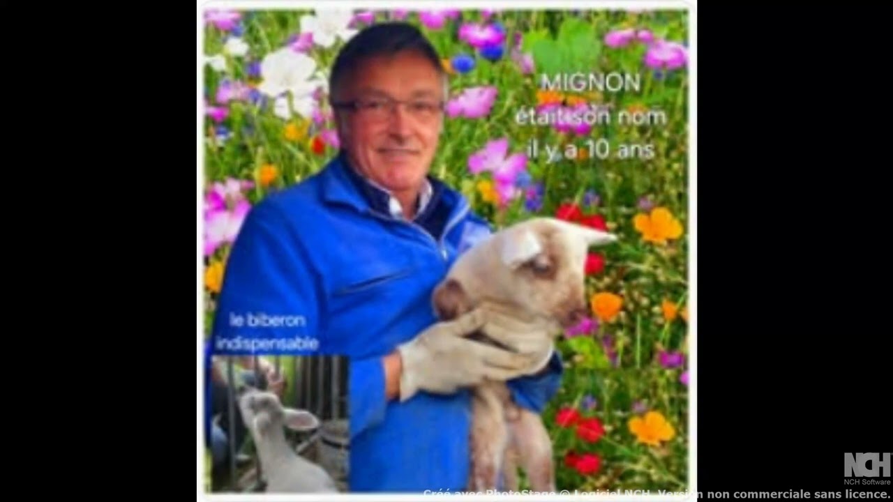 RONALD POETE DE L'IMPOSSIBLE