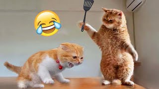 You Laugh You Lose 😍 Funniest Cats and Dogs 😹🐶 Part 8