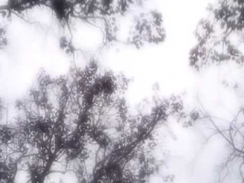 Watch Grandaddy - At My Post on YouTube Watch Grandaddy - At My Post on YouTube