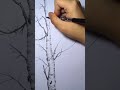 手绘 看完电影 安静的画完一棵树,手绘,画画教程..
