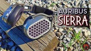 Auribus Acoustics Sierra |💎| Z Reviews
