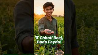 Chia Seeds Farming – Chhoti Beej, Bada Fayda! 🌱💰 | Nirmal Agro World”✅ #shorts #farming #agriculture