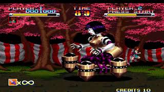 GANRYU: SUZUME STAGE 1.2 BOSS BATTLE  #evercade #visco #gameplay