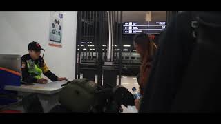 Annabelle Thrash Voice Hell End Of The World - 14/12/2019