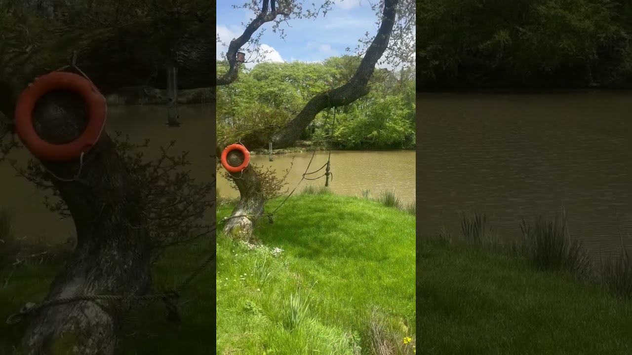 Harriers fishery Taunton