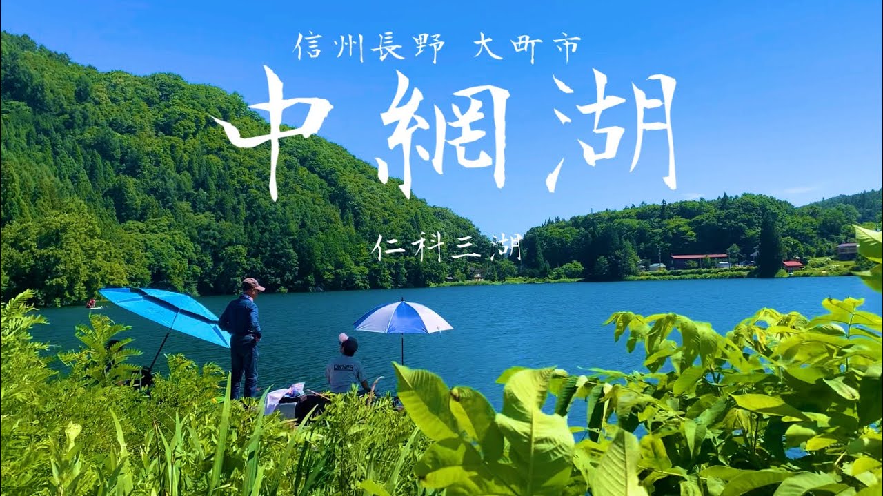 網湖 Fresh green Shinshu Carp Fishing at Lake Nakatsuna 2025 Summer