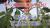 ПРОСТАЯ ЖИЗНЬ НА СЕЛЕ.