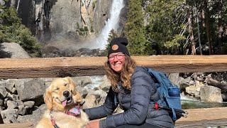 Yosemite Valley is Dog Friendly | Chasing Waterfalls with my Golden Retriever