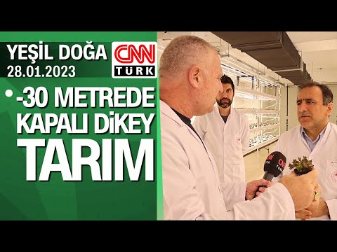 Video: Dikey Çiftlikler Nelerdir – Evde Dikey Tarım Hakkında Bilgi Edinin