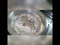 Tandoori Tea | tea |Cha #youtubeshorts #kolkatavlog #street #tea