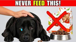 16 Dog Food Do Vets NEVER Feed Their Pets (Don’t Ignore #3)