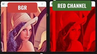 Celebrity 16. Extract the red color channel from BGR color image using Open CV and Python Net Worth