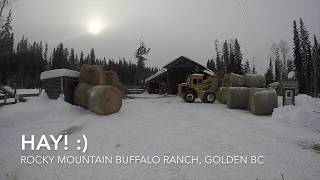 'HAY' Loading hay in barn time lapse 1:45 sec.