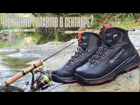 ПАССИВНЫЙ ГОЛАВЛЬ МАЛОЙ