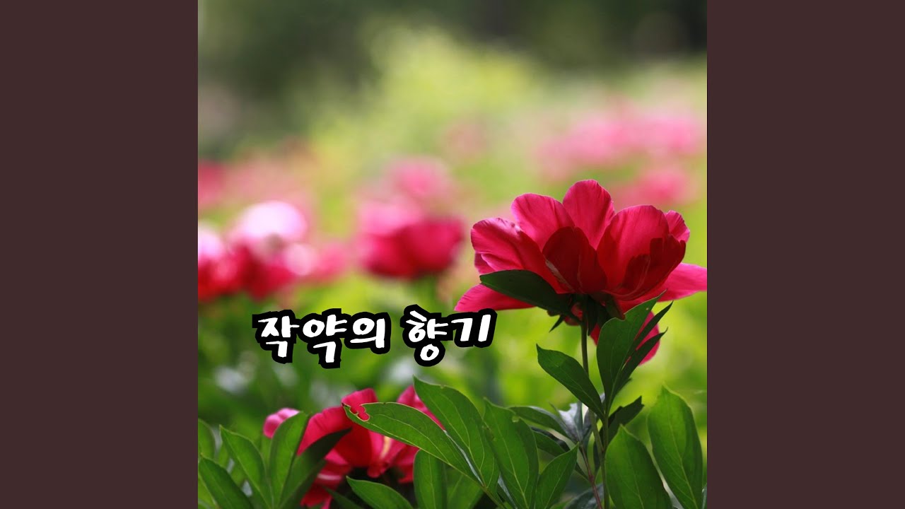 작약의 향기