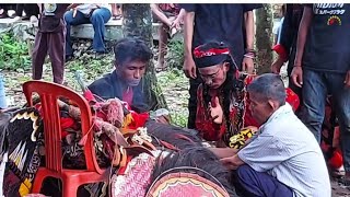 Download Lagu Penyembuhan janturan akhir turonggo mudo banioro karangsambung kebumen MP3