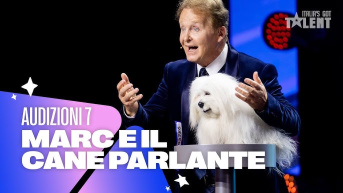 I 5 migliori pulitori di zampe per cani 