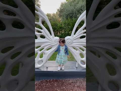 فرفوشي فرفشي يافراشة