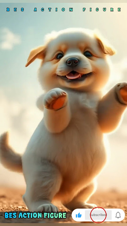 Anjing Joget Lucu #dog #puppy #puppies #lucu #anjinglucu #fypyoutube #fypジviral #cute #pets #funny