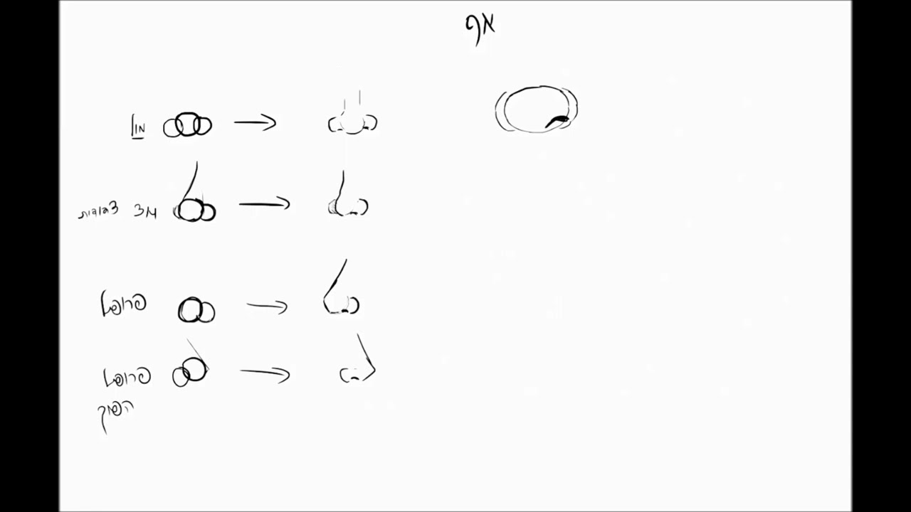 כיצד מציירים אף | הדרכה מהציירת מירי וינרב | אספקט לימודי איור