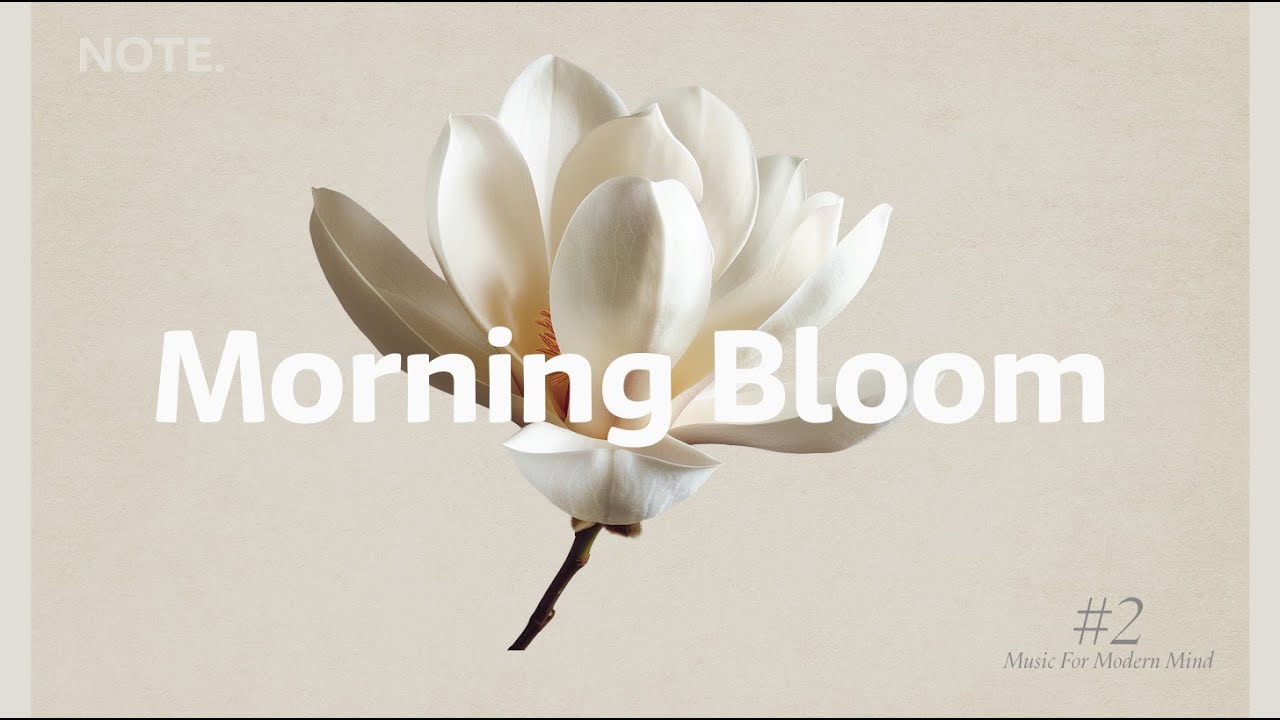 Chill Morning Living Room Playlist