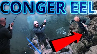 Conger eel fishing on light tackle - sea fishing uk #congereel #seafishing #fishingnorthwales