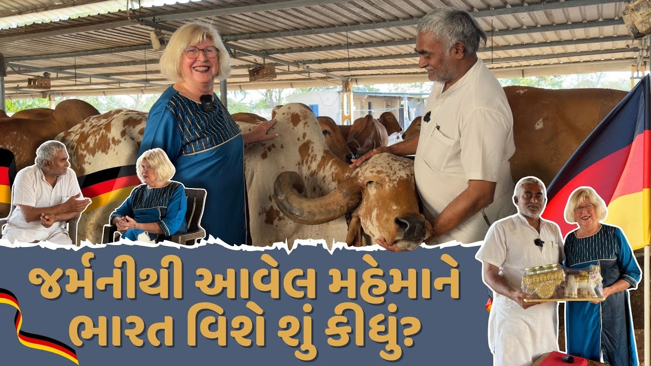 German Lady Come in Our Gaushala And Visit At Our Panchakarma Department | Gir Gau Jatan Sansthan