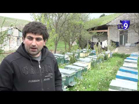 მეფუტკრეები გამოწვევების პირისპირ - ინტერვიუ ზურაბ ზურაბაშვილთან