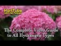 The Complete Video Guide to Most Hydrangea Types