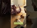 🎥 توفير تكاليف المدير | Remote Upsell - حل بديل المديرين بتكلفة 10%