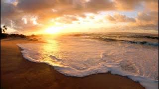Koala - Australia 2010 (Club Mix)