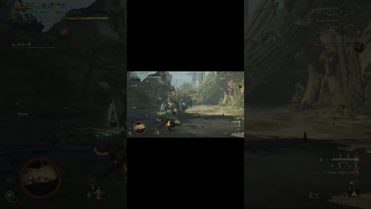 The dog is broken again 🐕 