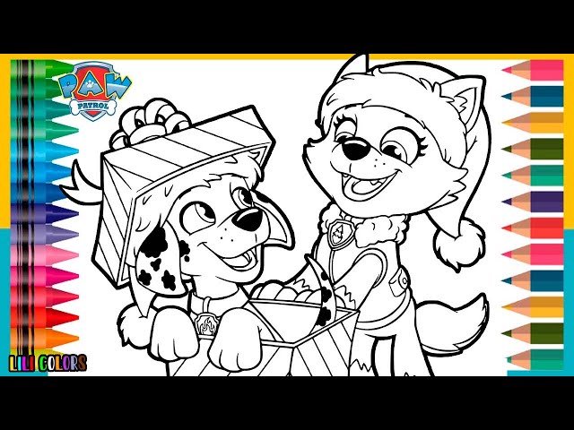 Paw Patrol, Patrulha Canina sempre ajudando! 🐾