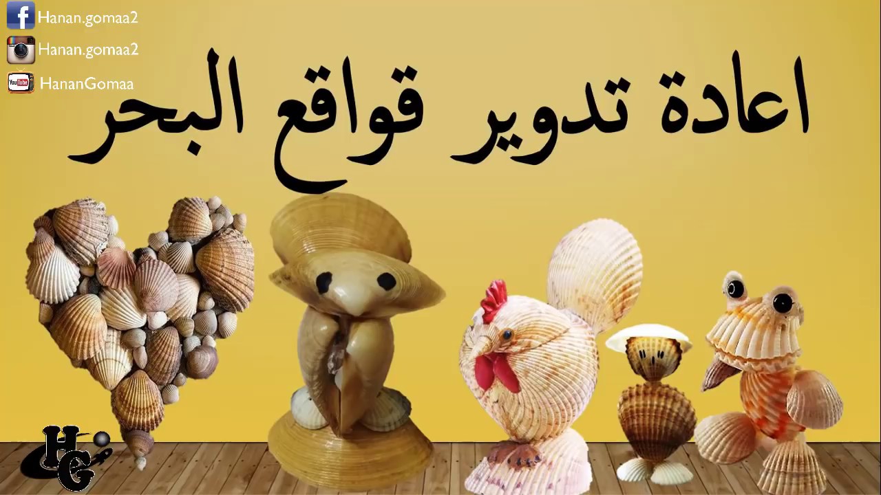 اعادة تدوير قواقع البحر مع حنان جمعه