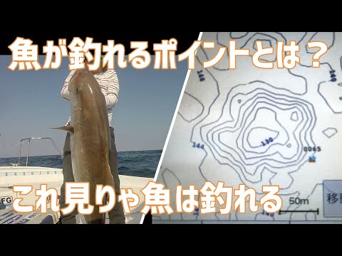 船やボートでジギングされる方　必須 ジギングで青物が船中多数HITした瞬間はこんな感じです【船釣り
