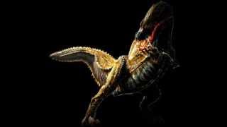 Deviljho イビルジョー - Battle Theme Monster Hunter 3 モンスターハンター3トライ