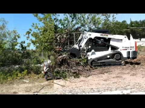 Trees By JaPaul - YouTube