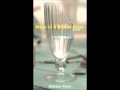 Water In A Broken Glass Excerpt