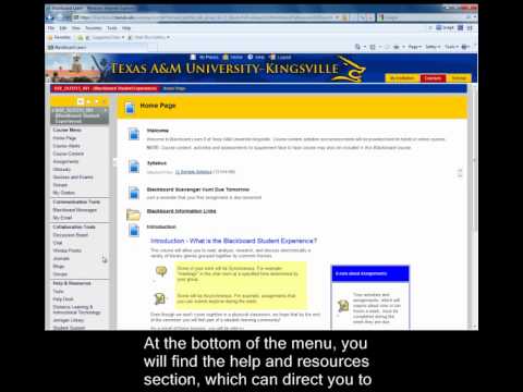 Blackboard Learn 9 Course Menu-TAMUK