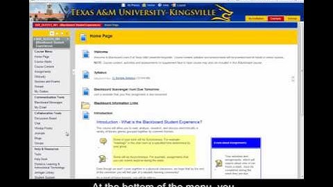 Blackboard Learn 9 Course Menu-TAMUK