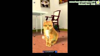 Talking Lovely Cat for Android screenshot 3
